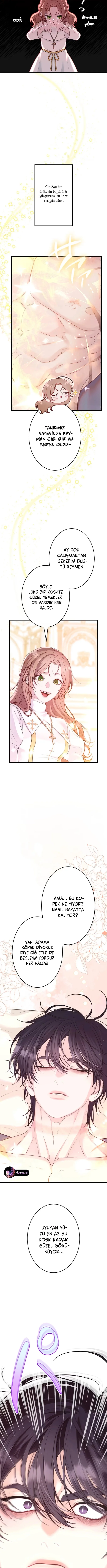 Sayfa 7