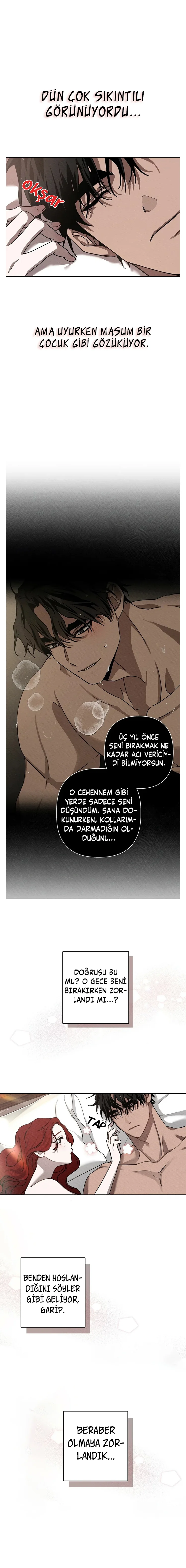 Sayfa 13