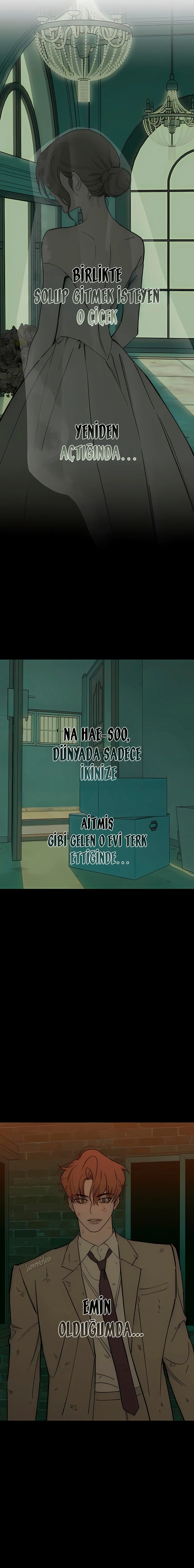 Tears on a Withered Flower 99. Bölüm Sayfa 12 - Türkçe Manga